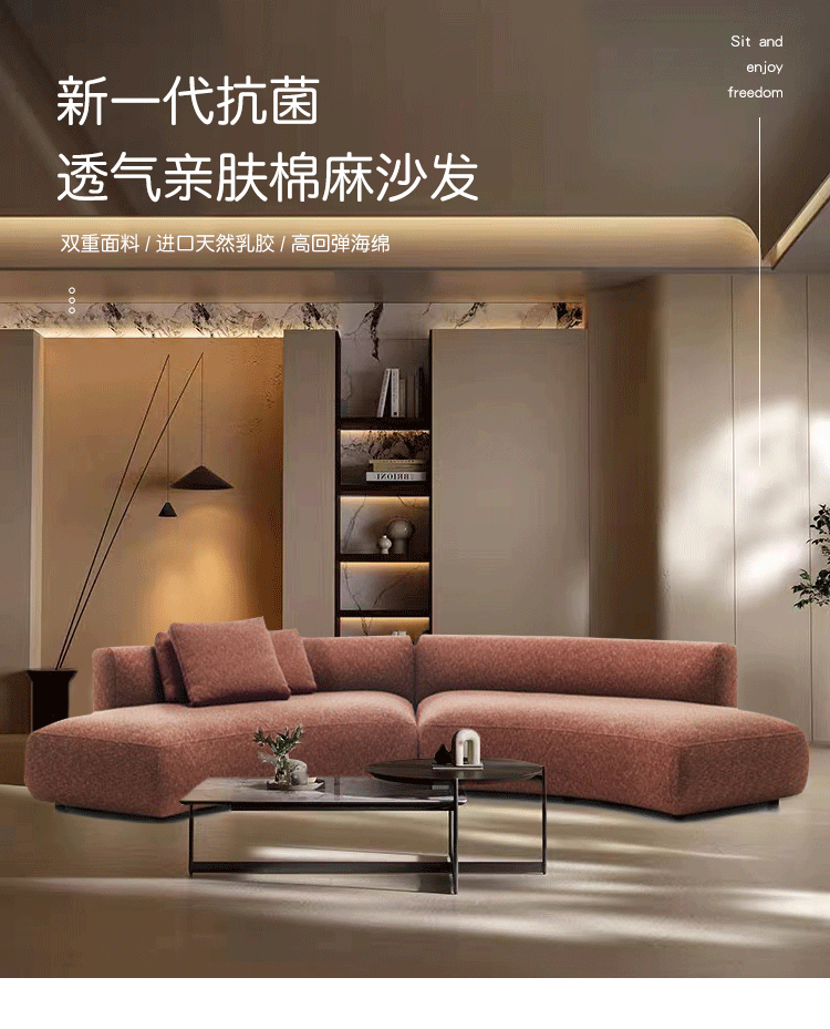 Italian Minimalist Light Luxury Irregular Arc Sofa for Living Room Large Apartment Reception Model Room Designer Beauty Salon Internet Celebrity