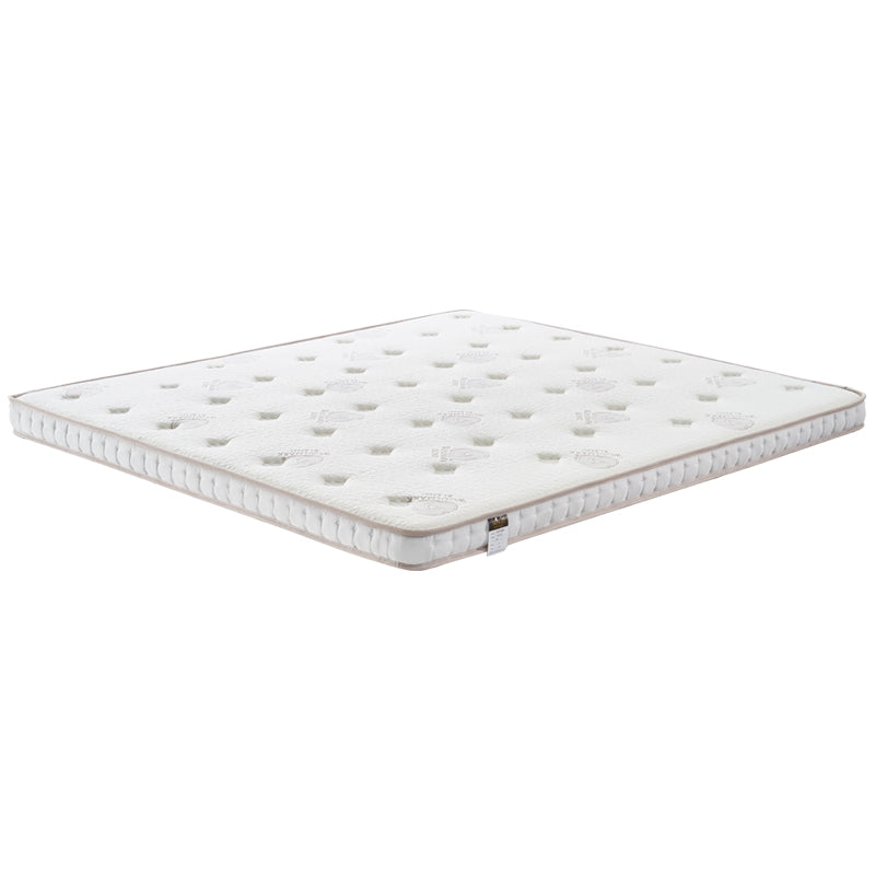 Mat Natural Coconut Palm Mattress  10cm