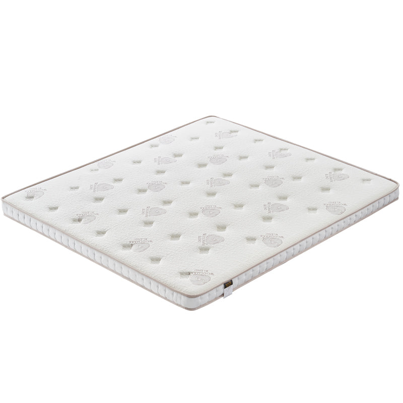 Mat Natural Coconut Palm Mattress  10cm