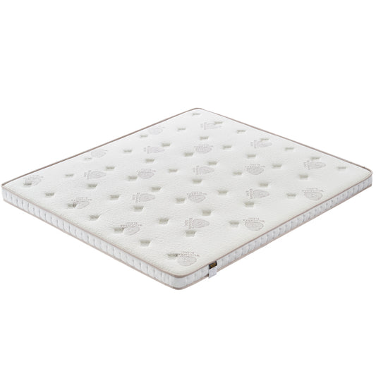 Mat Natural Coconut Palm Mattress  10cm