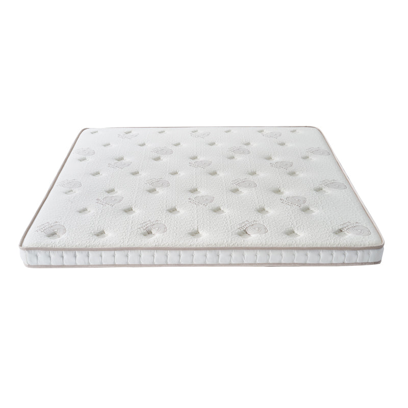 Mat Natural Coconut Palm Mattress  10cm